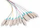 LOGON PROFESSIONAL LFP025