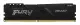 Kingston Technology FURY Beast