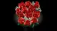LEGO Botanicals Bouquet of Roses #6