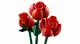 LEGO Botanicals Bouquet of Roses #8