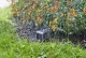 Gardena smart Sensor #3