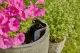 Gardena smart Sensor #5