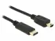 DeLOCK 2m, USB2.0-C/USB2.0 Mini-B