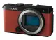 Panasonic Lumix S9