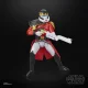 Hasbro Star Wars Purge Trooper #10