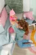 Zapf BABY born Emma Click & Play 43cm #13