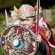 Liontouch Viking Sword #6