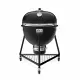 Weber Kamado E6