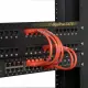 Black Box 6" CAT6 #4