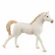 schleich HORSE CLUB Arabian Stallion, white