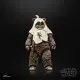 Hasbro Star Wars Paploo #4