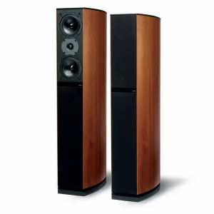 Jamo D 590