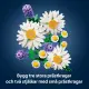 LEGO Botanicals Daisies #5