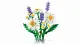 LEGO Botanicals Daisies #6