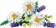 LEGO Botanicals Daisies #4