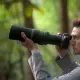 Canon RF 800mm F11 IS STM #9
