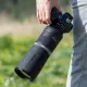 Canon RF 800mm F11 IS STM #11
