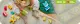 LEGO DUPLO 3 in 1 Creative Cute Pets #11