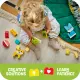 LEGO DUPLO 3 in 1 Creative Cute Pets #10
