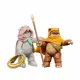 Hasbro Star Wars The Vintage Collection Wicket & Kneesaa #3