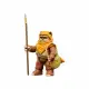 Hasbro Star Wars The Vintage Collection Wicket & Kneesaa #13