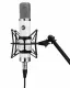 Warm Audio WA-251