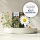 Epson Daisy C13T18024012 #17