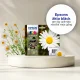Epson Daisy C13T18024012 #5