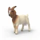 schleich FARM WORLD 14929