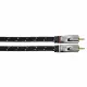 Avinity 2m, 2xRCA