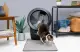 Litter-Robot Litter-Robot #2