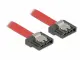 DeLOCK 0.3m SATA III