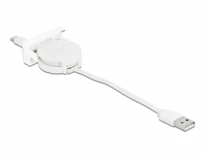 DeLOCK 81318