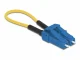 DeLOCK 86924 #2