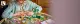 LEGO Friends Spinning Flower & Fairy Teacup Ride #6