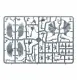 Games Workshop Scourges #9