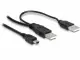 DeLOCK 2x USB2.0-A male / USB mini 5-pin