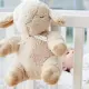 Cloud B Sleep Sheep #2