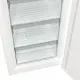 Gorenje FN619EAW6 #16