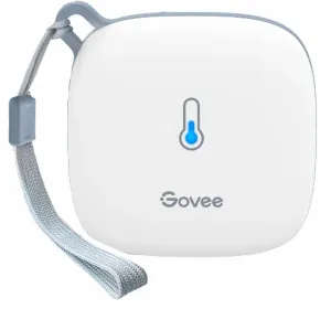Govee H5179