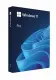 Microsoft Windows 11 Pro