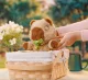 IMC Toys Baby Paws Capibara #10