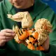 LEGO Arcanine #11