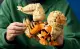 LEGO Arcanine #12