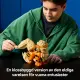 LEGO Arcanine #3
