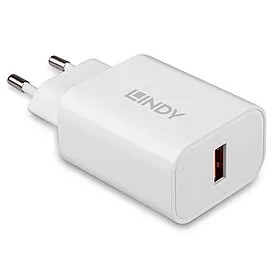 Lindy 73412