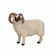 Mojo Fun Black Faced Sheep (Ram) #2