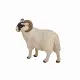 Mojo Fun Black Faced Sheep (Ram) #5