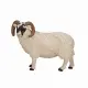 Mojo Fun Black Faced Sheep (Ram)