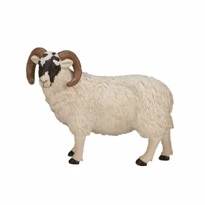 Mojo Fun Black Faced Sheep (Ram)